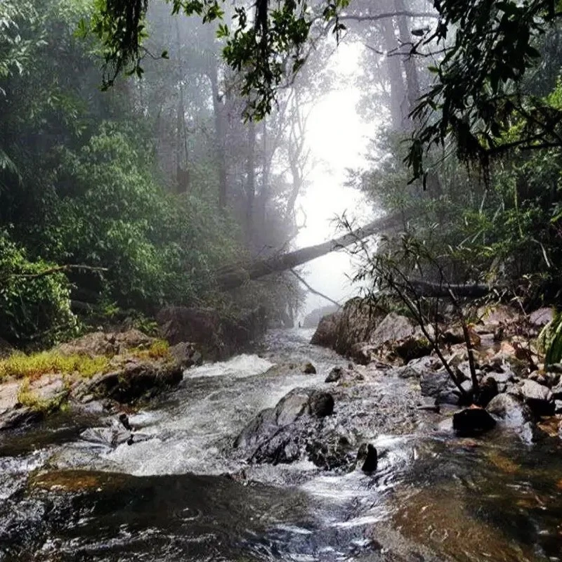 ಬರ್ಕಾನ ಜಲಪಾತ